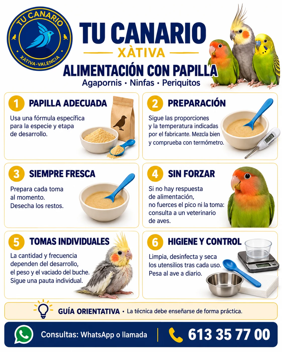 Portada: Alimentación con papilla
