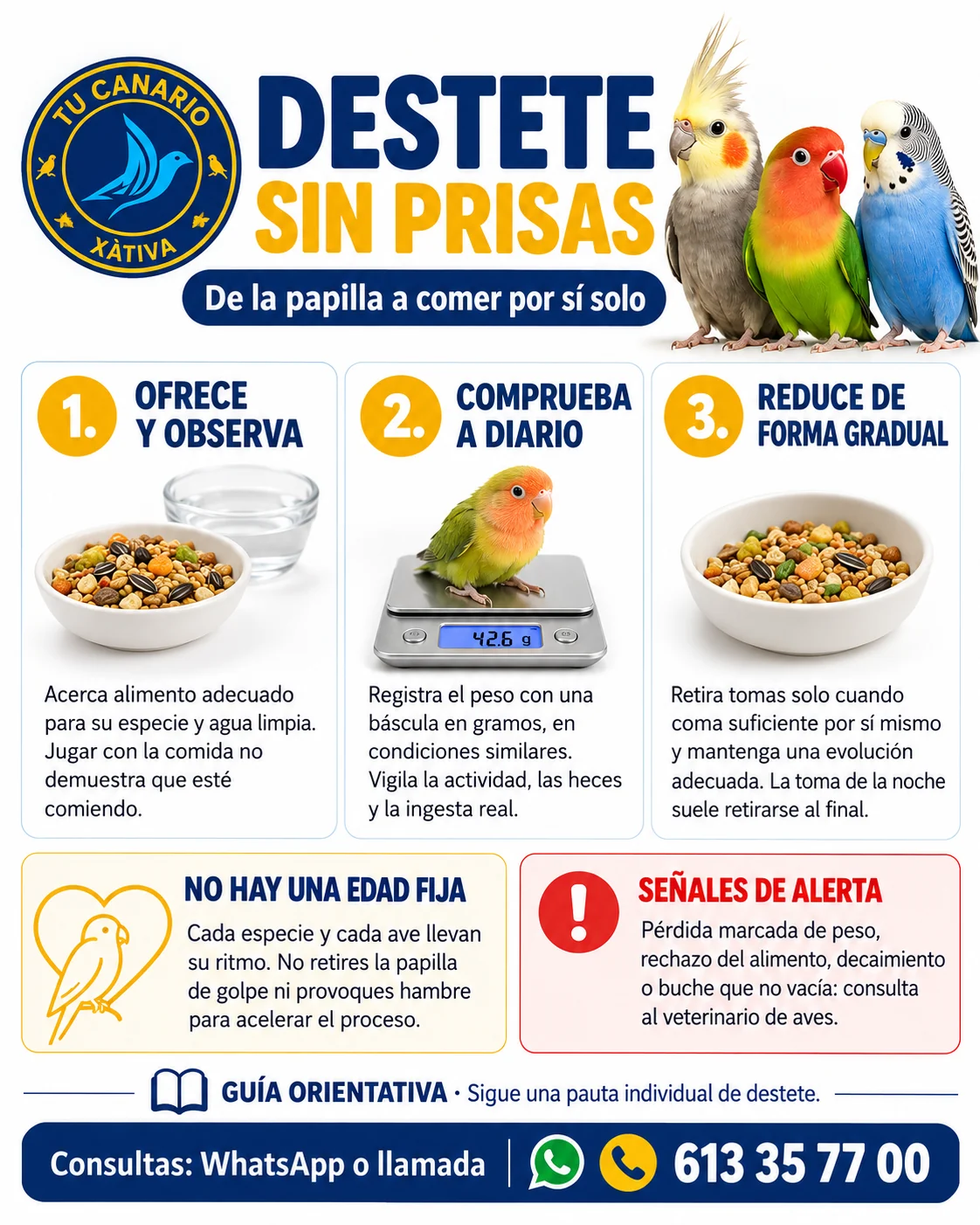 Portada: Destete sin prisas